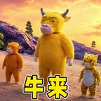 萌宠养殖